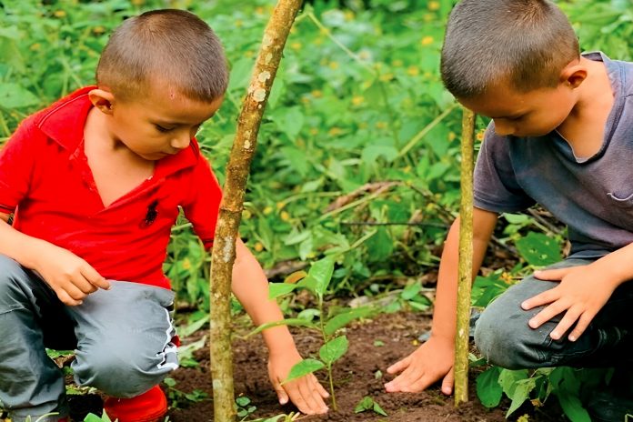 Foto: Jinotega avanza con la siembra de más de 763,000 plantas/Cortesía