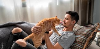 Foto: Mujer demanda a su esposo por preferir a su gato sobre ella