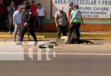 Foto: Otro accidente en Chinandega que dejó a una persona viva de milagro /TN8