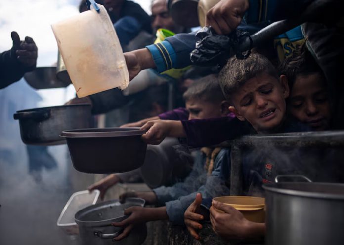 Foto: Gaza al borde de la hambruna /cortesía