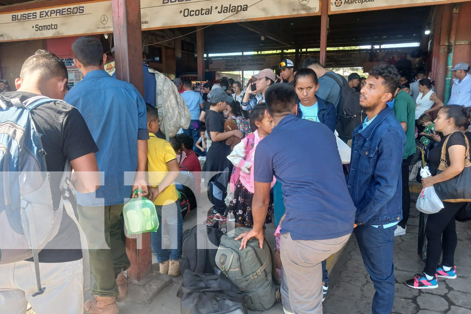 Foto: Cientos de nicaragüenses abarrotan terminales /TN8