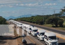 Foto: 300 nuevos microbuses llegarán a los departamentos de Nicaragua antes de Navidad/TN8