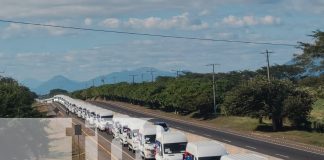 Foto: 300 nuevos microbuses llegarán a los departamentos de Nicaragua antes de Navidad/TN8