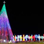 Foto: ¡La Navidad trae Paz, Esperanza y Unión para Nicaragua!