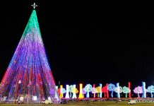 Foto: ¡La Navidad trae Paz, Esperanza y Unión para Nicaragua!