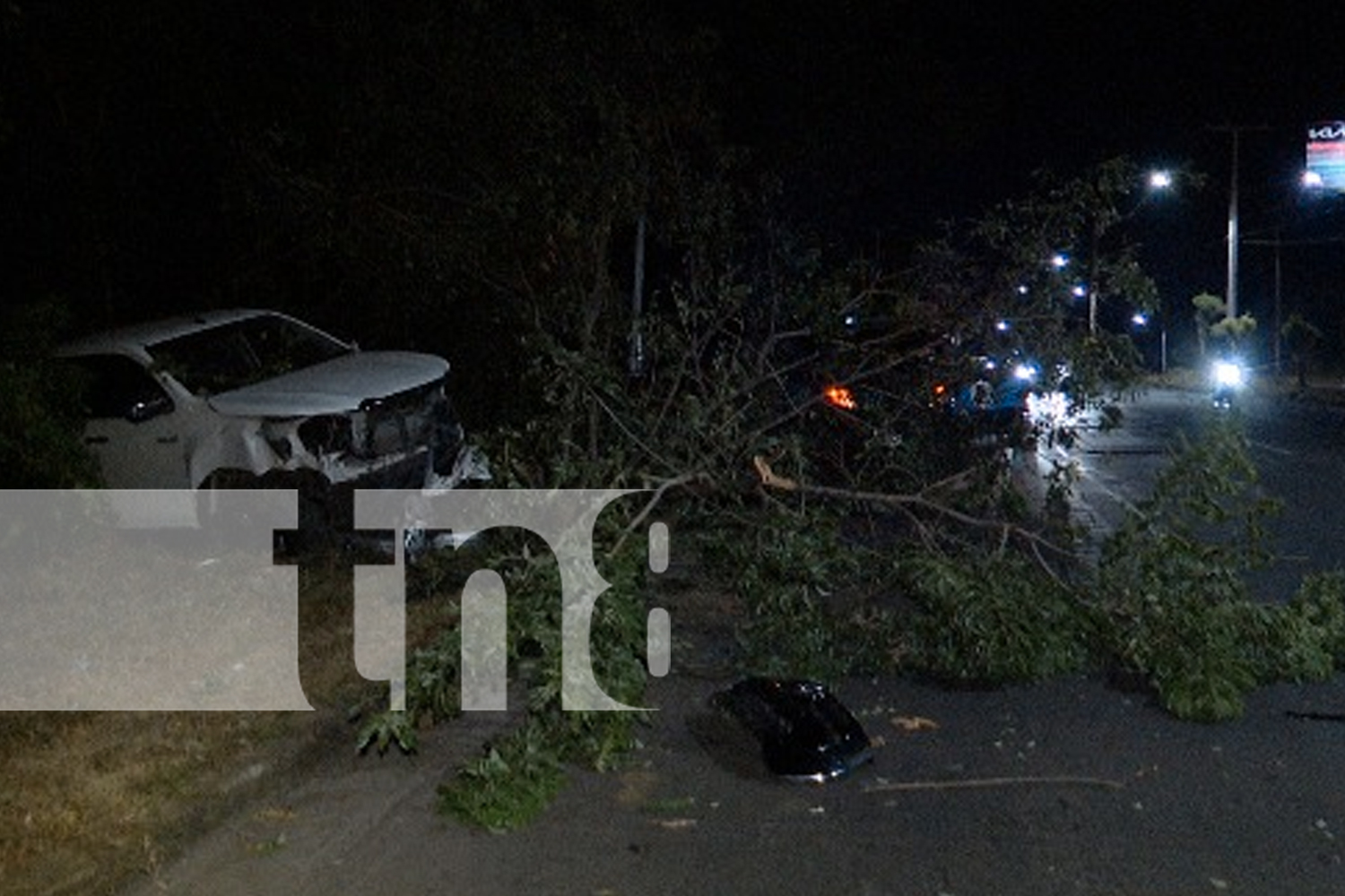 Foto: Un conductor ebrio destruye un poste y un árbol en Managua, pero sobrevive de milagro. ¡Alcohol y volante, una combinación mortal! /TN8