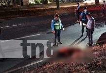 Foto: Una vida apagada en la Carretera Norte. Un hombre es hallado sin vida tras un presunto atropello en Waspán./TN8