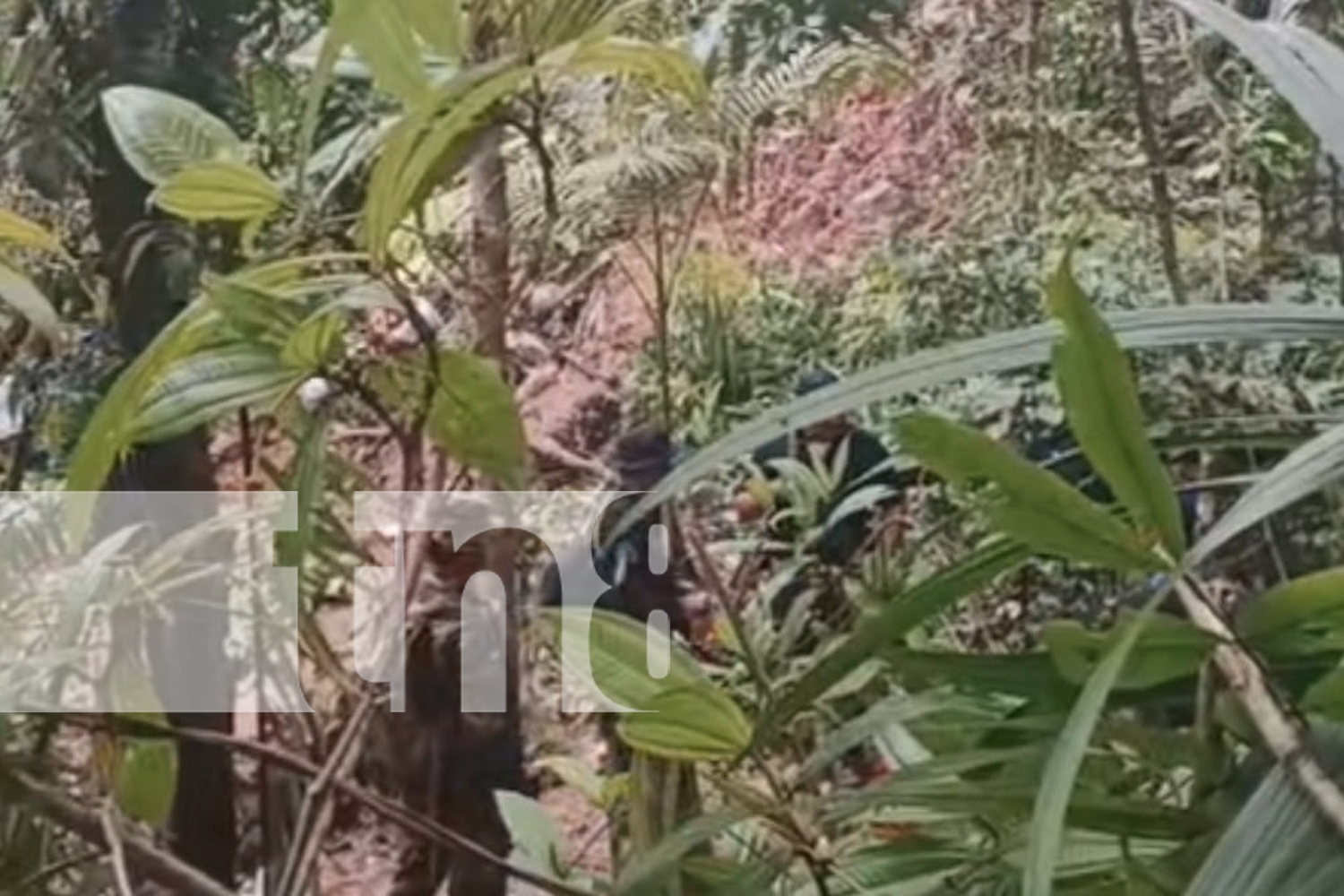 Foto: Hombre mata a su entenada de un año y la tira en un pozo artesanal/ TN8