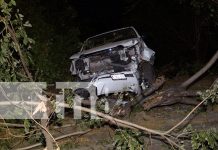 Foto: Un conductor ebrio destruye un poste y un árbol en Managua, pero sobrevive de milagro. ¡Alcohol y volante, una combinación mortal! /TN8