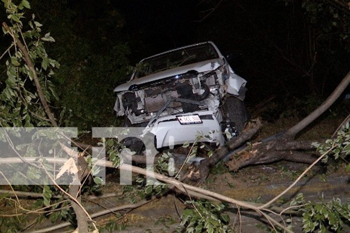 Foto: Un conductor ebrio destruye un poste y un árbol en Managua, pero sobrevive de milagro. ¡Alcohol y volante, una combinación mortal! /TN8