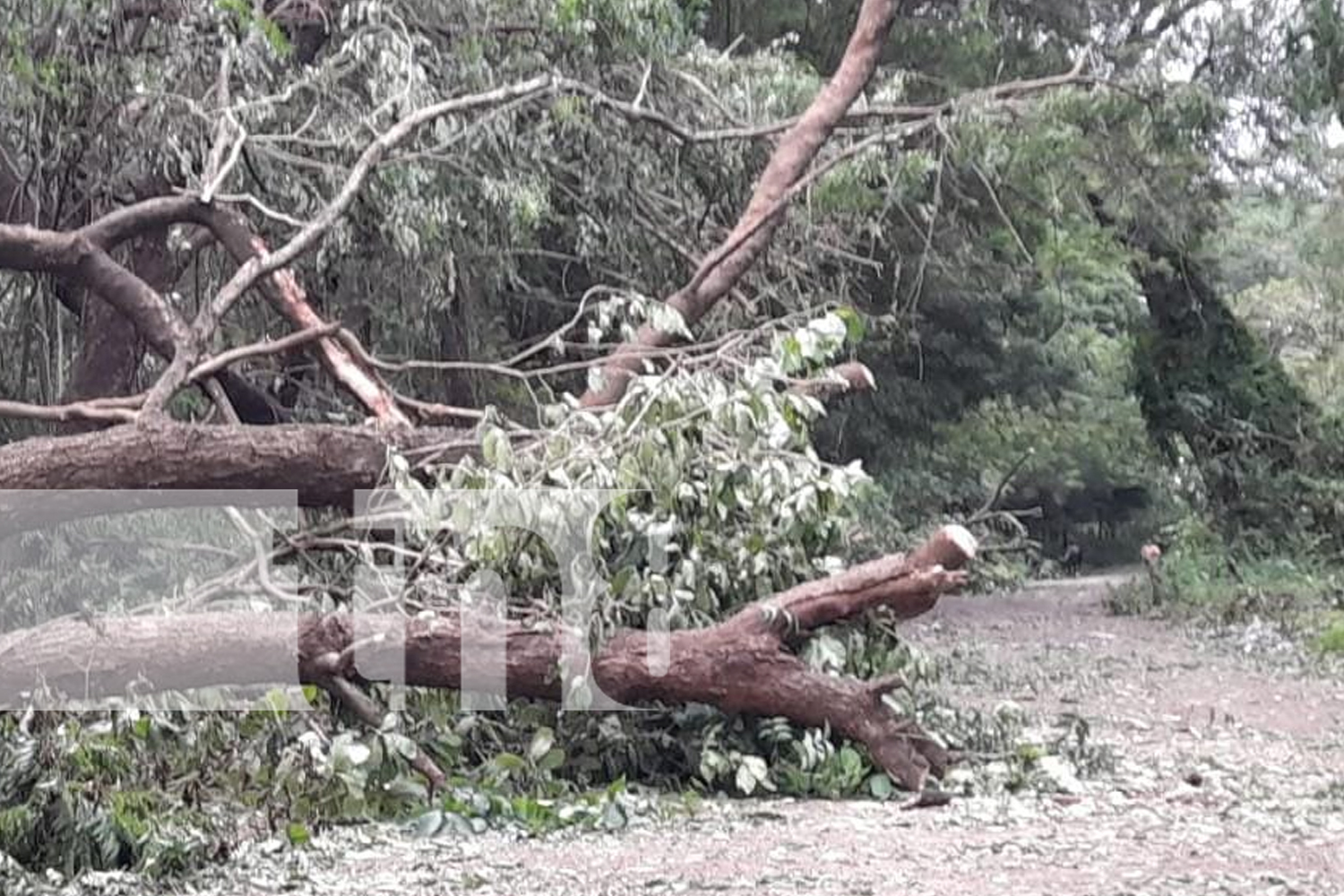 Foto: Comunidades de Ometepe amanecieron sin energía /TN8