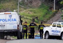 Foto: Matanza en Costa Rica /cortesía