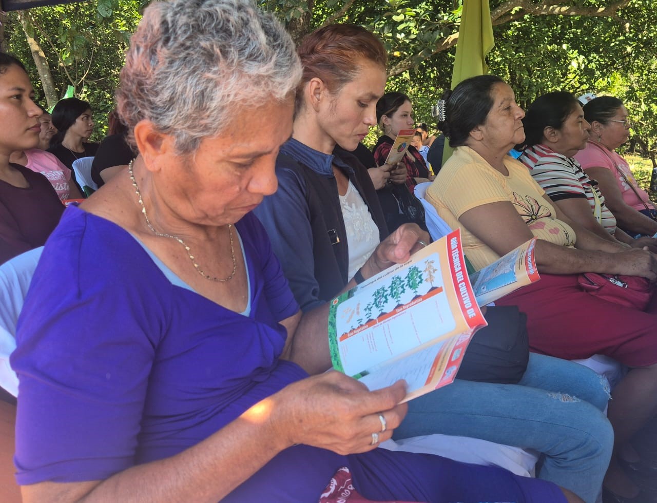 Foto: INTA presenta la nueva variedad de soya Chinandega