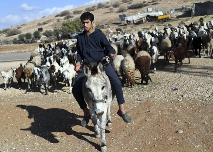 Foto: Crisis en Gaza /cortesía