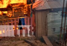 Foto: Tragedia en Bonanza: familia pierde su hogar en devastador incendio / TN8