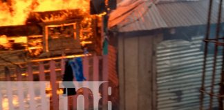 Foto: Tragedia en Bonanza: familia pierde su hogar en devastador incendio / TN8