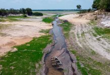 Foto: Brasil decretaron el estado de escasez hídrica/Cortesía