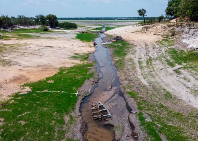 Foto: Brasil decretaron el estado de escasez hídrica/Cortesía