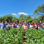 Foto: INTA presenta la nueva variedad de soya Chinandega