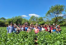 Foto: INTA presenta la nueva variedad de soya Chinandega