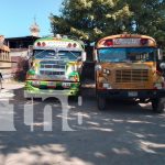 Foto: Granada espera con emoción los nuevos autobuses chinos para mejorar el transporte/TN8