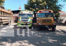 Foto: Granada espera con emoción los nuevos autobuses chinos para mejorar el transporte/TN8