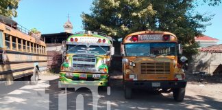 Foto: Granada espera con emoción los nuevos autobuses chinos para mejorar el transporte/TN8