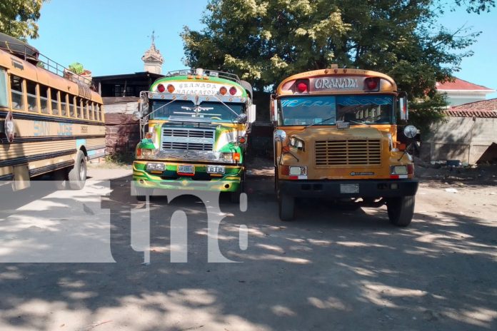 Foto: Granada espera con emoción los nuevos autobuses chinos para mejorar el transporte/TN8