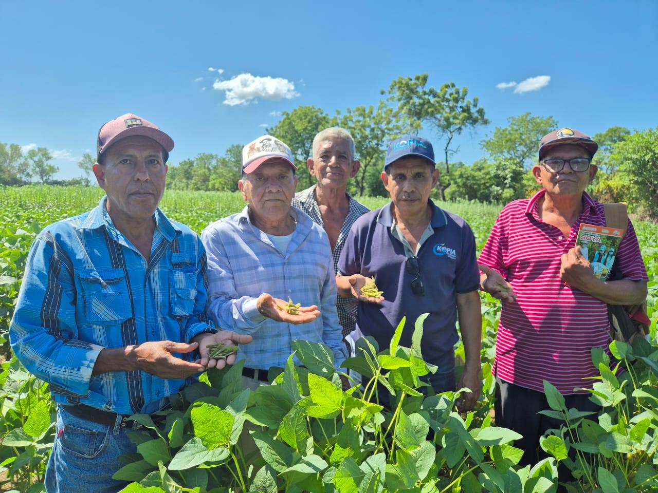 Foto: INTA presenta la nueva variedad de soya Chinandega