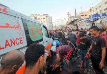 Foto: Jefe de la OMS pide a Israel que detenga los ataques /Cortesía