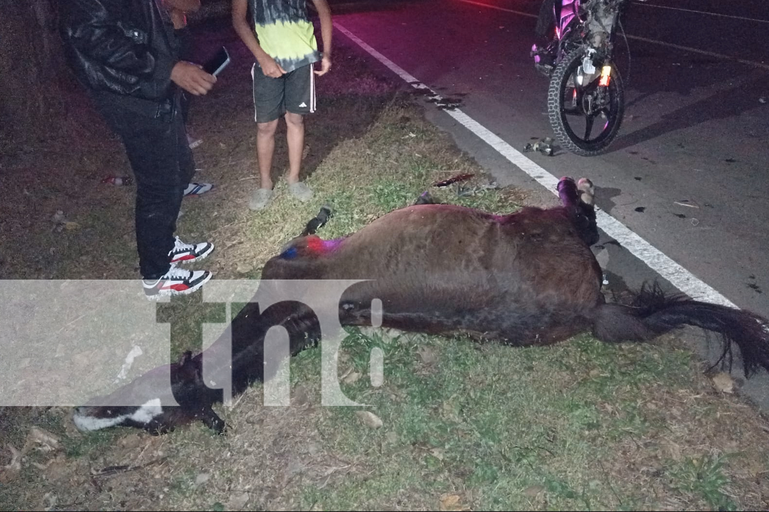 Foto:  Nueva Segovia: Dos accidentes de motocicleta en menos de 24 horas/ TN8