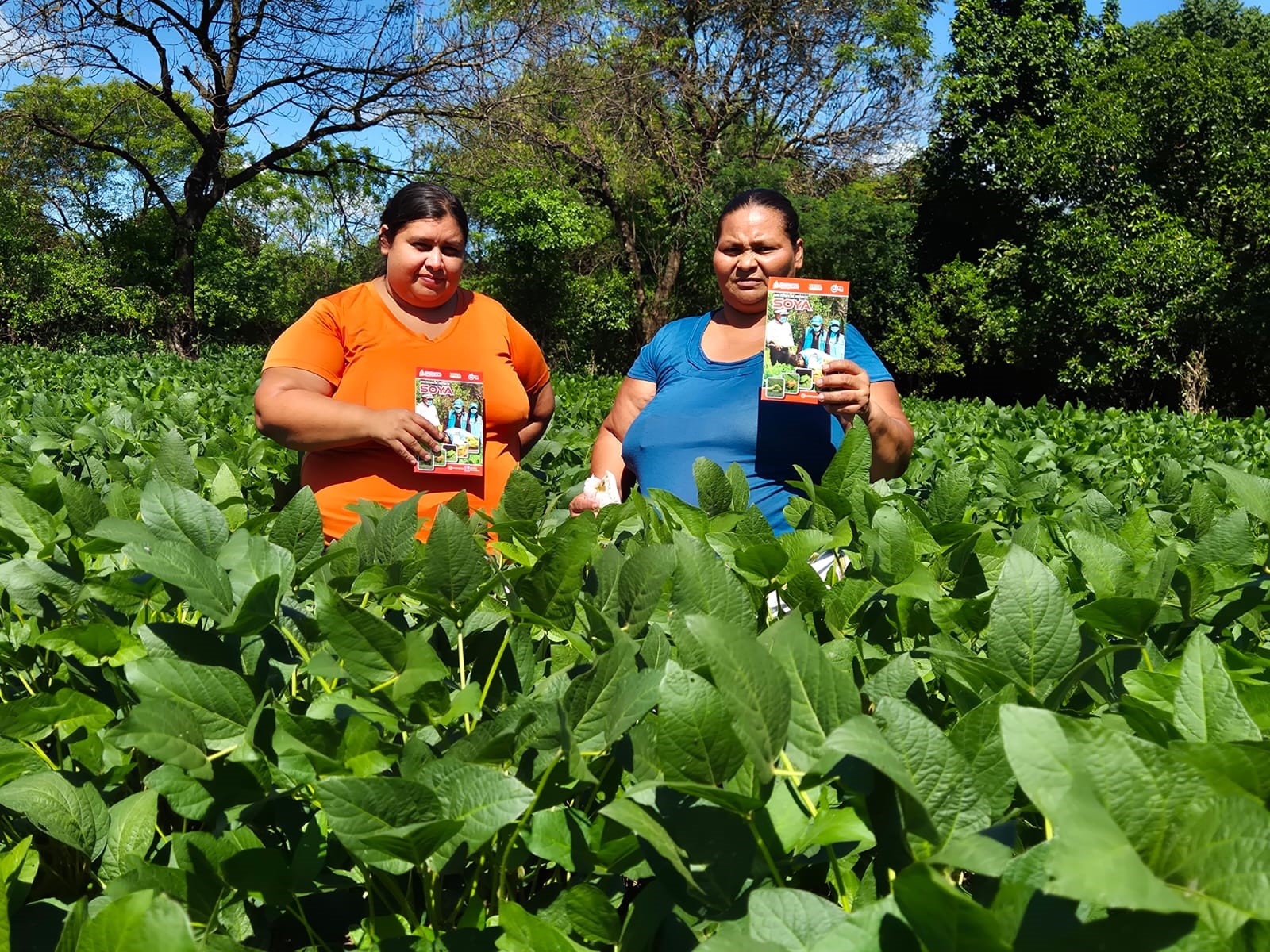 Foto: INTA presenta la nueva variedad de soya Chinandega