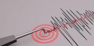 Foto: Sismo de 5.8 sacude El Salvador y se siente en Nicaragua, Honduras y Guatemala/Cortesía