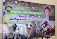 Foto: Lanzamiento de curso virtual sobre manejo de especies con el INTA / TN8