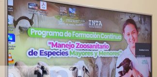 Foto: Lanzamiento de curso virtual sobre manejo de especies con el INTA / TN8