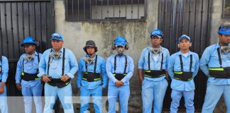 Foto: Fumigación en el Distrito V de Managua / TN8