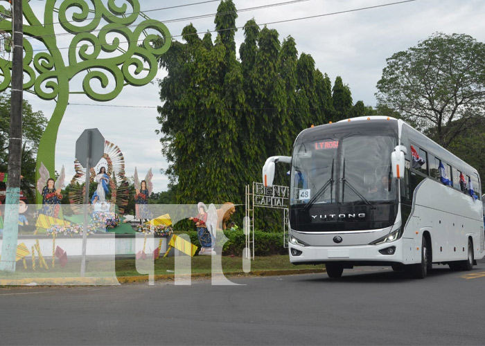 Foto: Nuevos buses provenientes de China / TN8