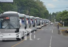 Foto: Nuevos buses provenientes de China / TN8