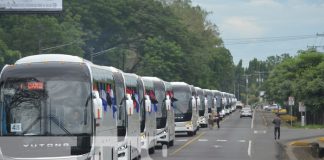 Foto: Nuevos buses provenientes de China / TN8