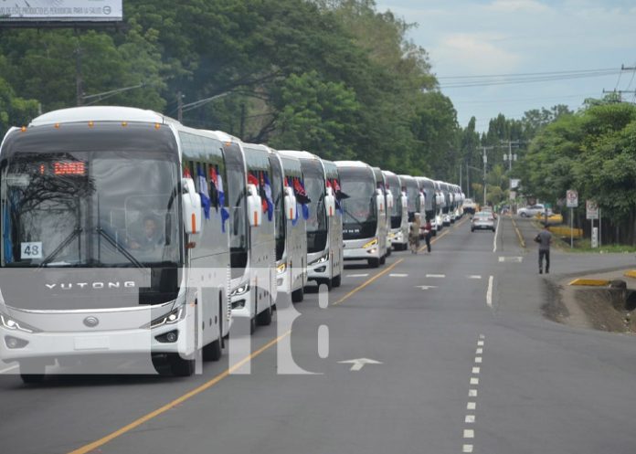 Foto: Nuevos buses provenientes de China / TN8