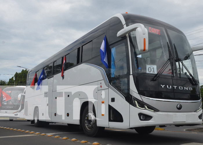 Foto: Nuevos buses provenientes de China / TN8