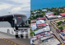 Foto: Nuevos buses para el Caribe de Nicaragua