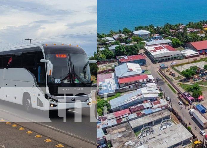 Foto: Nuevos buses para el Caribe de Nicaragua