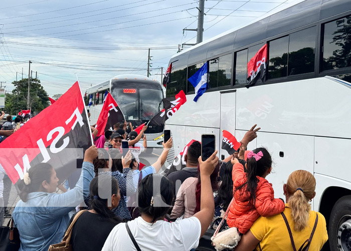 Foto: Nuevos buses para el transporte de Nicaragua / TN8