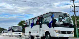 Foto: Nuevos buses para el transporte de Nicaragua / TN8