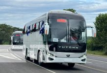 Foto: Nuevos buses para el transporte de Nicaragua / TN8