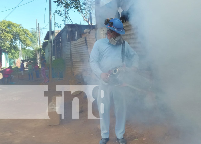 Foto: Fumigación por toda Managua / TN8