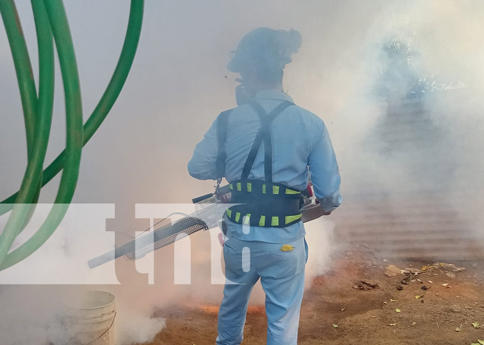 Foto: Fumigación por toda Managua / TN8