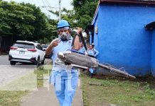 Foto: Fumigación y abatización en Managua / TN8