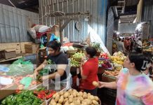 Foto: De todo un poco para la cena navideña en cada mercado de Managua / TN8